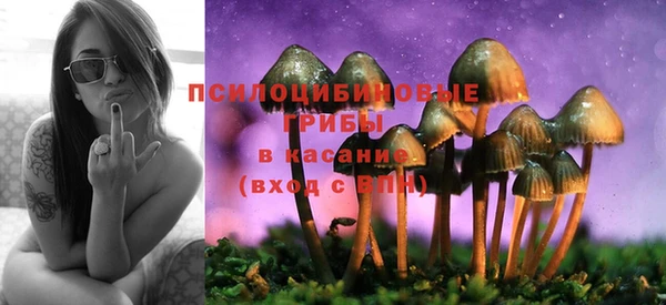 MESCALINE Богородицк